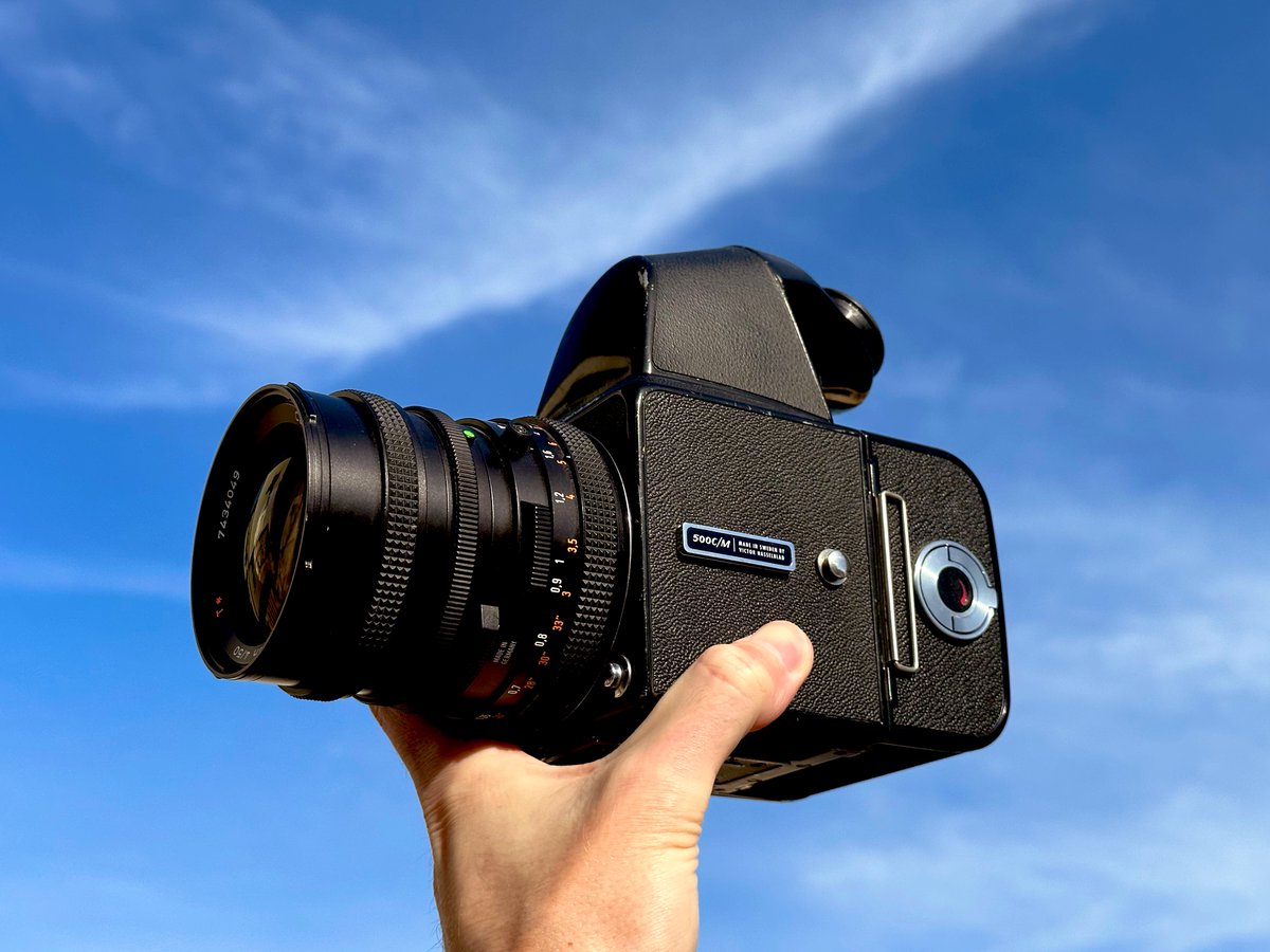 BRENDAN NØRTH tweet media