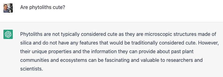 Having fun with #phytoliths and ChatGPT