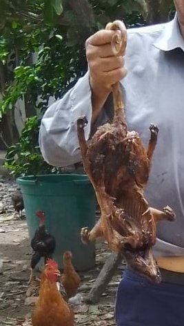 Javier J. Meza S on Twitter: "No es costumbre en la costa pero en la