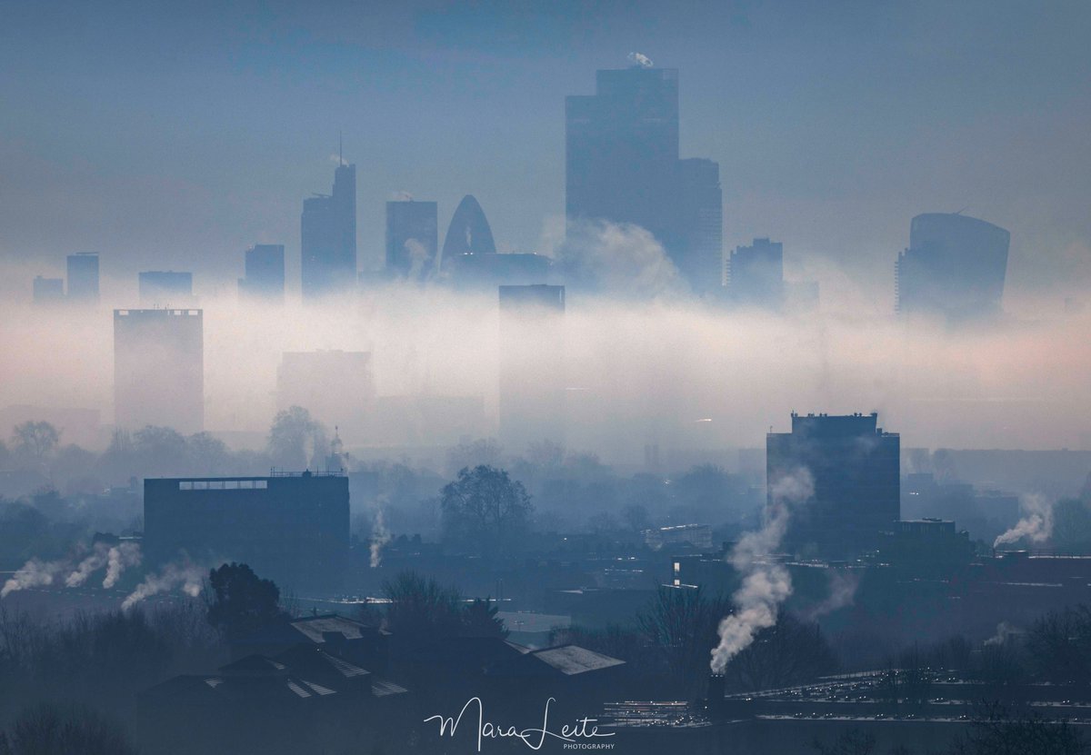 Still thinking about how beautiful London looked covered in the fog last Wednesday.