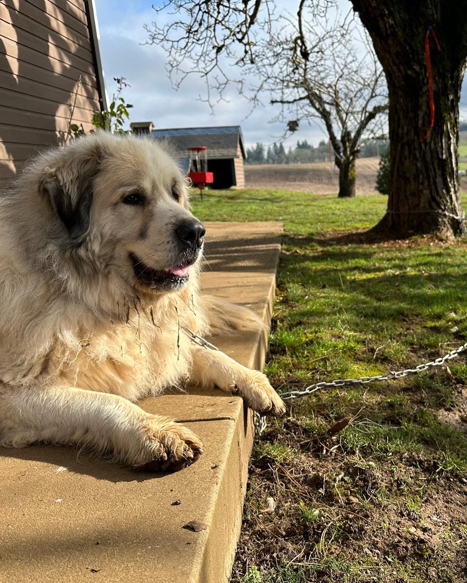 Flux Magazine tweet media