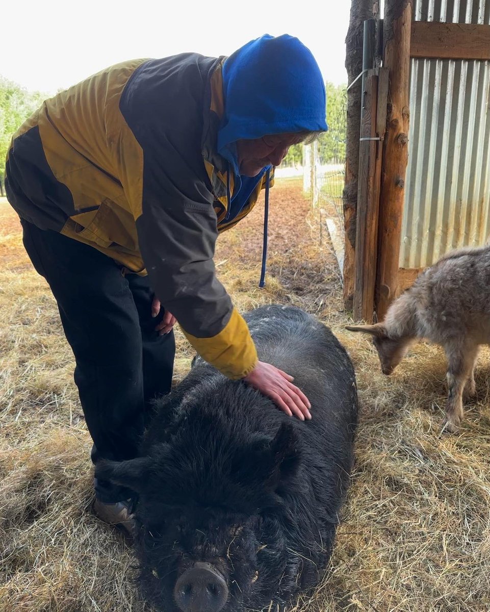 Flux Magazine tweet media