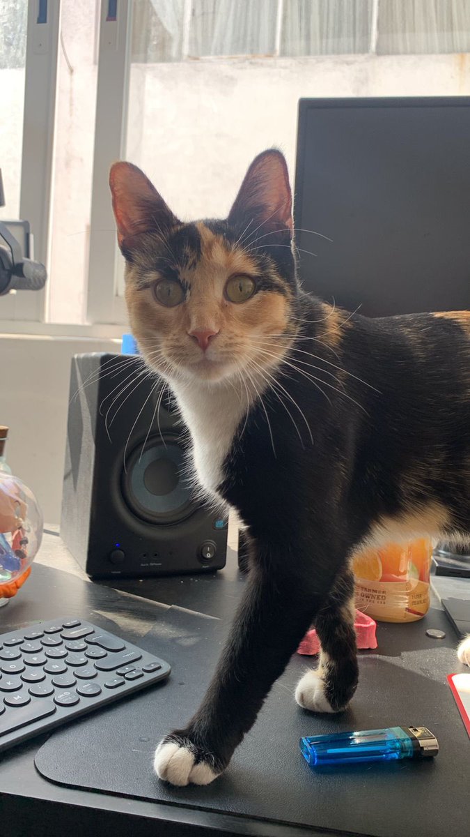 legspread Sexday memes. Best Collection of funny Sexday pictures on iFunny