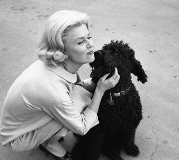 1940sginger's tweet photo. definitely doris day https://t.co/jAxO8zNzOu