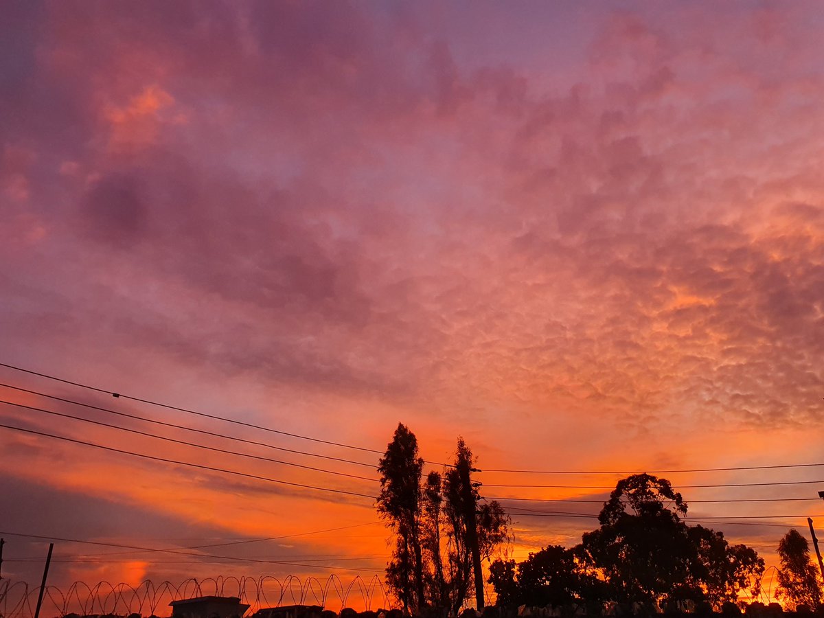 حَ.... tweet media