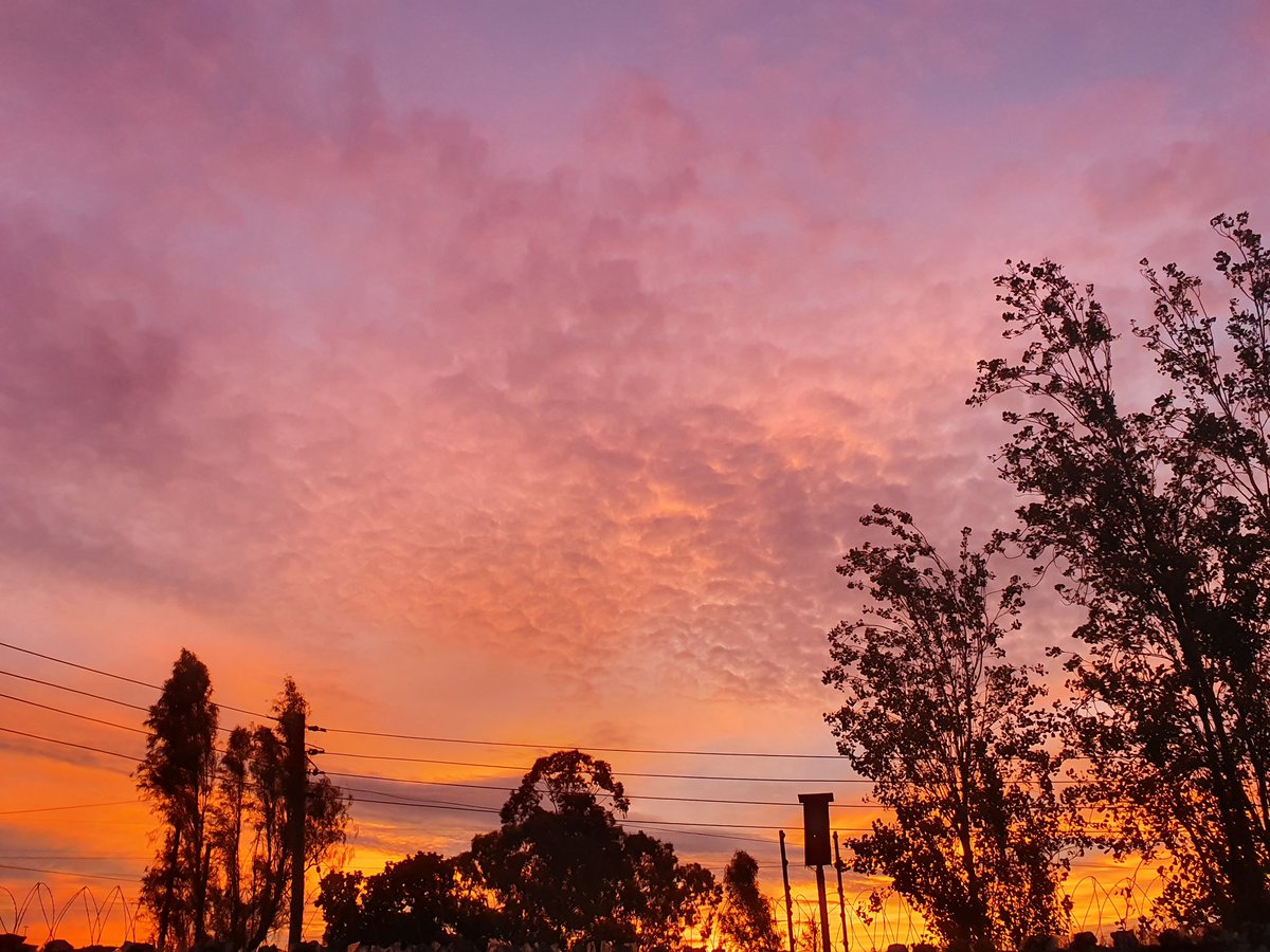 حَ.... tweet media