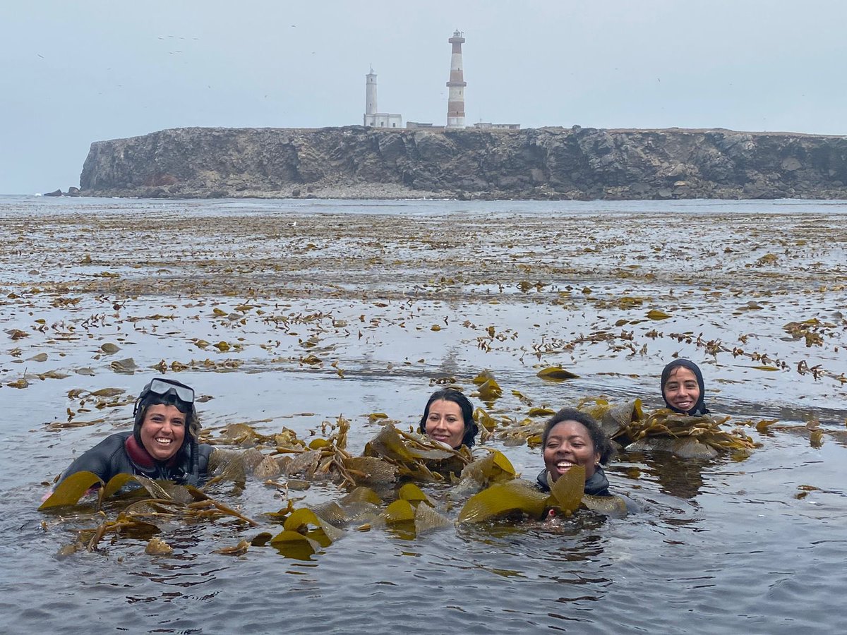 Luis Malpica Cruz tweet media