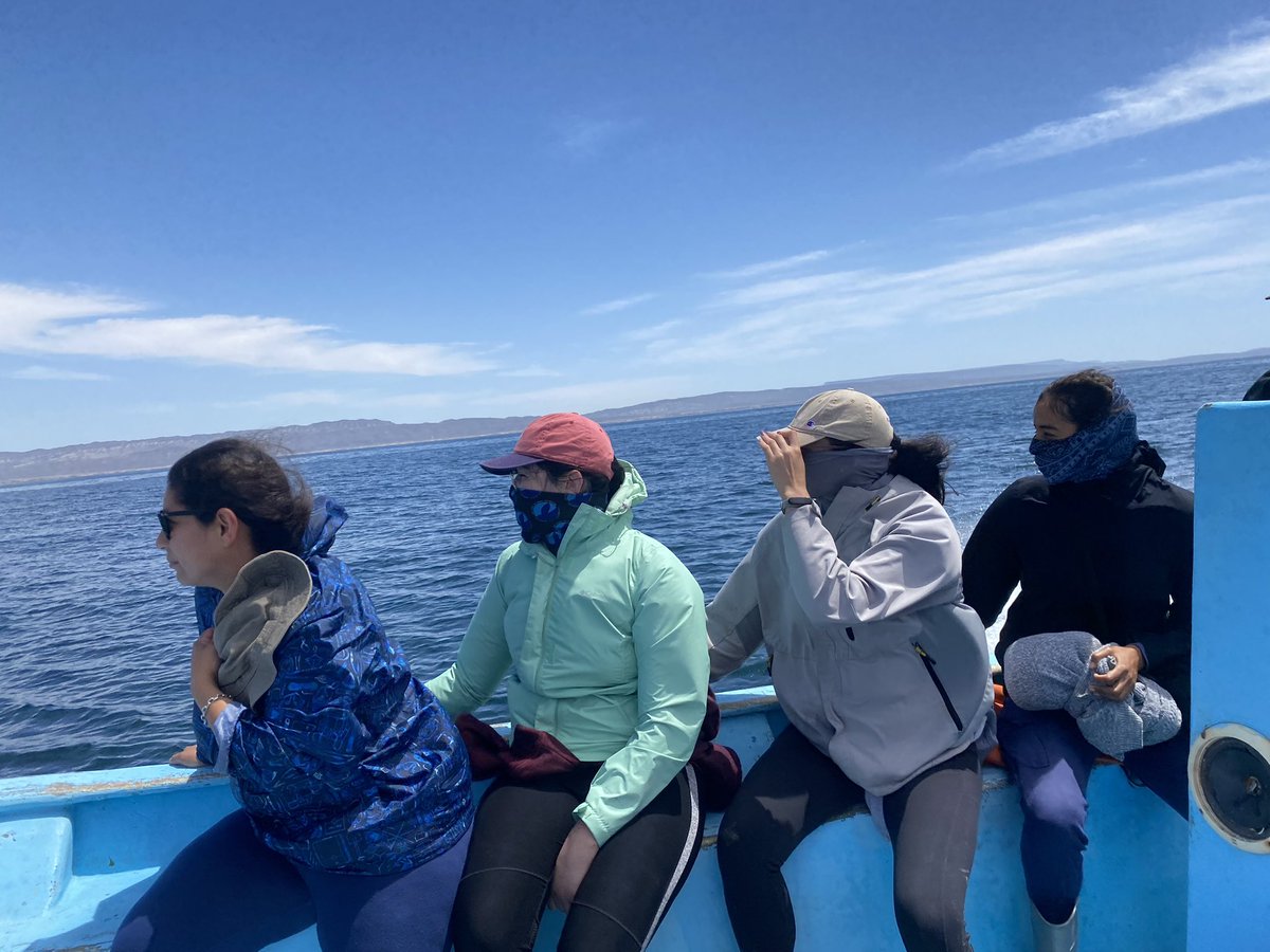 Luis Malpica Cruz tweet media