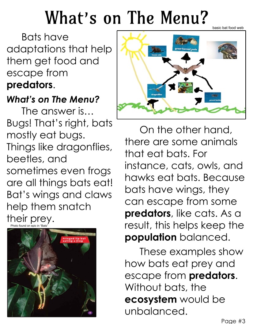 MrsBAdventures's tweet photo. Sneak peek at our Animal Adaptations books!! Ss have worked really hard learning about informational text and becoming animal experts! #d24inspires @MillburnMustang @AmericanReading https://t.co/lI3tbHnWXx