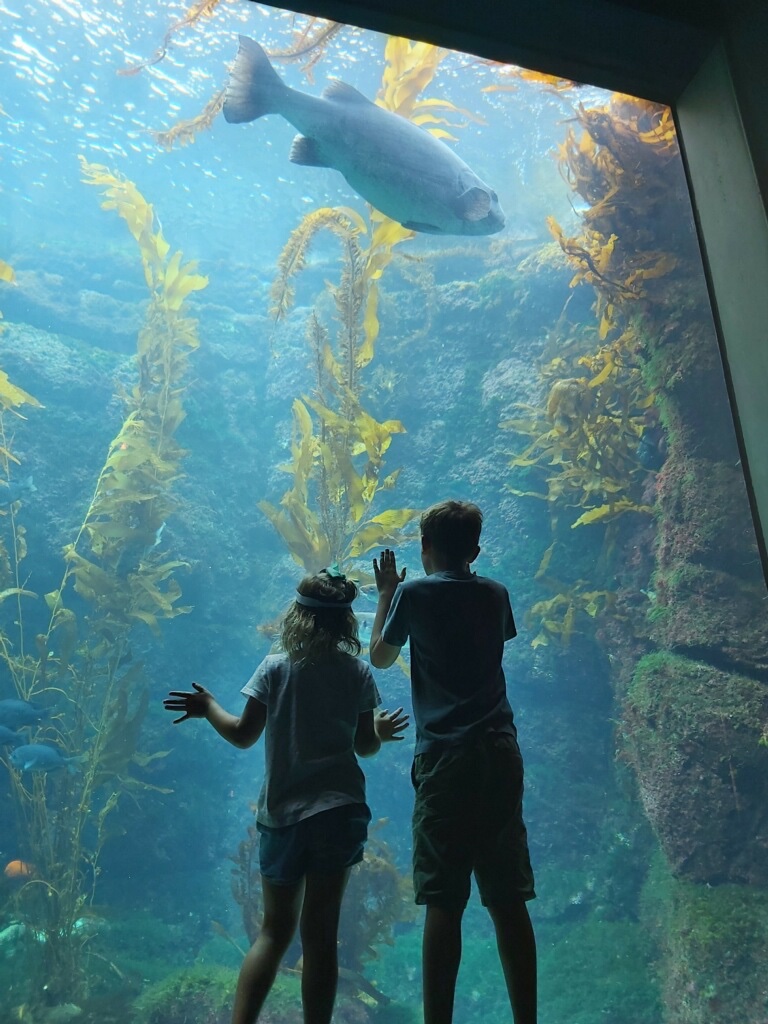 Happy International Day of Women and Girls in Science! My kids love the <a href="/birchaquarium/">Birch Aquarium at Sc</a> &amp; it's helped spark my daughter's passion for #science. I'm thankful that @Illumina generously contributes to support programs like the Birch Discovery Labs &amp; Diving into #DNA
#IDWGS2023 #IDWGS