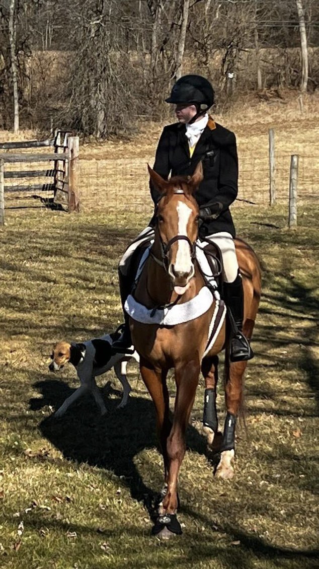 Young Racings Retired G1,2 &amp; 3 hurdle winner Eclipse award nominee ‘20 RASHAAN <a href="/AgaKhanStuds/">Aga Khan Studs</a> a whips horse with the Essex Foxhounds in Far Hills,NJ <a href="/ColinKidd2/">Colin Kidd</a> <a href="/USASteeplechase/">Steve Coxon Racing 🏇</a>  <a href="/TheIrishField/">The Irish Field</a> <a href="/AshwellStable/">Ashwell Stable, LLC</a> <a href="/swflanagan7/">Sean Flanagan</a> <a href="/_Davy_Russel_/">Davy Russell</a>