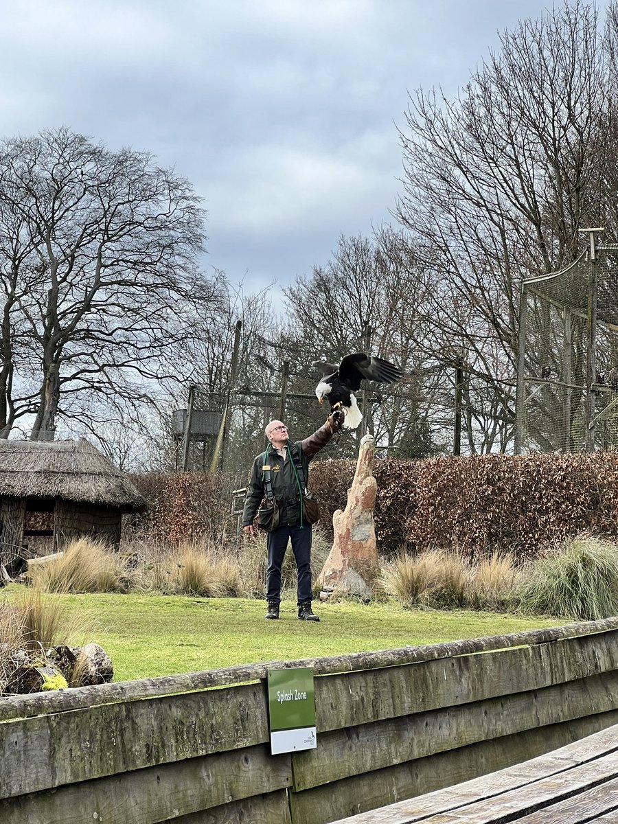BethPar82864295's tweet photo. Had a fantastic “behind the scenes” day at the @HawkConservancy on Thursday. The staff are all so friendly and incredibly knowledgeable about the birds they look after! Thought I would share some pictures of our time! Thank you to Mark for arranging this for us✨ https://t.co/yI5ZtbSBOf