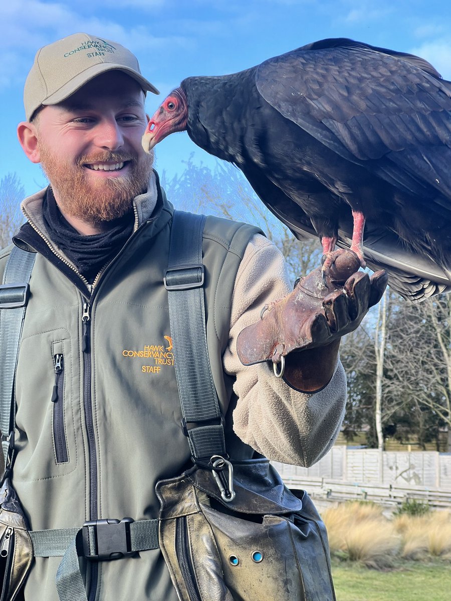BethPar82864295's tweet photo. Had a fantastic “behind the scenes” day at the @HawkConservancy on Thursday. The staff are all so friendly and incredibly knowledgeable about the birds they look after! Thought I would share some pictures of our time! Thank you to Mark for arranging this for us✨ https://t.co/yI5ZtbSBOf