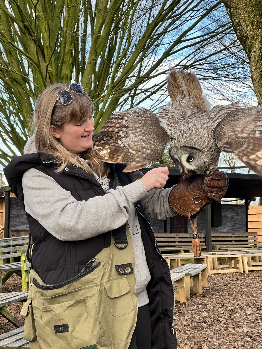BethPar82864295's tweet photo. Had a fantastic “behind the scenes” day at the @HawkConservancy on Thursday. The staff are all so friendly and incredibly knowledgeable about the birds they look after! Thought I would share some pictures of our time! Thank you to Mark for arranging this for us✨ https://t.co/yI5ZtbSBOf