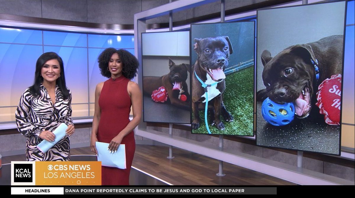 JoshuaX1993's tweet photo. I love streaming this brand new weekday morning team at @KCALNews &amp; @CBS Los Angeles of Ms. @CBSLARachel, @ShebaTurk &amp; @ACarlsonKGET🌞📺🥰! See ya again tomorrow on Super Bowl Sunday ladies🏈 and stay healthy💛! #KCALNewsMornings🌞 @CBSNews @CBSNLive https://t.co/VPHuaRbBp4 https://t.co/lucYRZiN3S