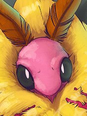 BoldKobold's tweet photo. Hello fans and friends! 

BoldKobold is having a special Valentines Day sale.

Get ANY two dakis for $100 and bulk up on some cuddly company! The sale will end February 14th so don't miss out! https://t.co/vyzxlkZ84Y