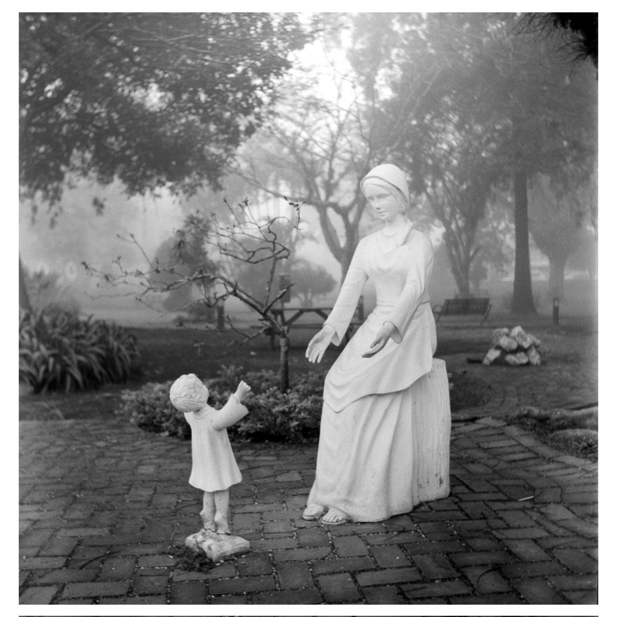 Días de niebla en Orizaba, Veracruz

Seagull 4A
Ilford HP5