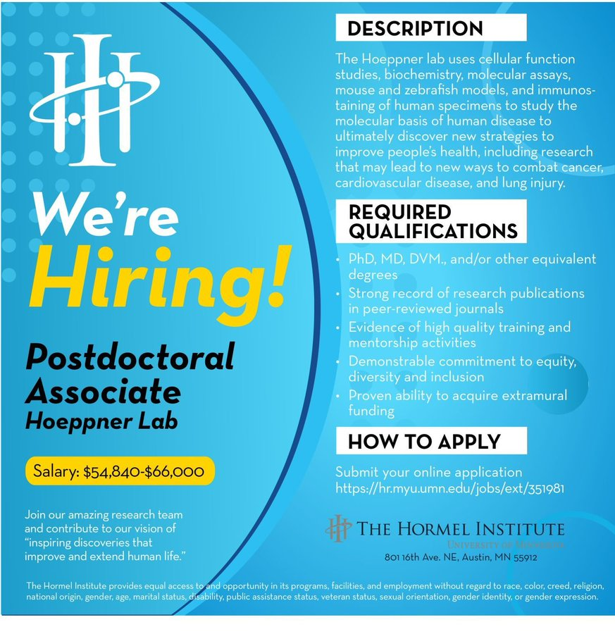 HoeppnerLab's tweet photo. Currently looking to hire a postdoc. Please reach out &amp;/or apply.

We use cellular function studies, biochemistry, molecular assays, mouse &amp; zebrafish models, &amp; human specimens to study the molecular basis of human disease including cancer, cardiovascular disease, &amp; lung injury. https://t.co/jt1jzdd9o3