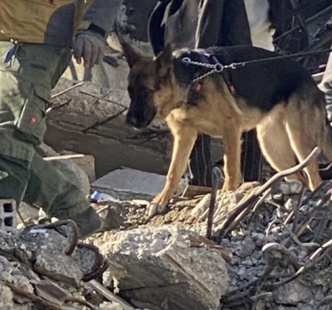 Tarikatlardaki adamları toplasan,
33 can kurtaran Angi kadar faydaları yok insanlığa.!