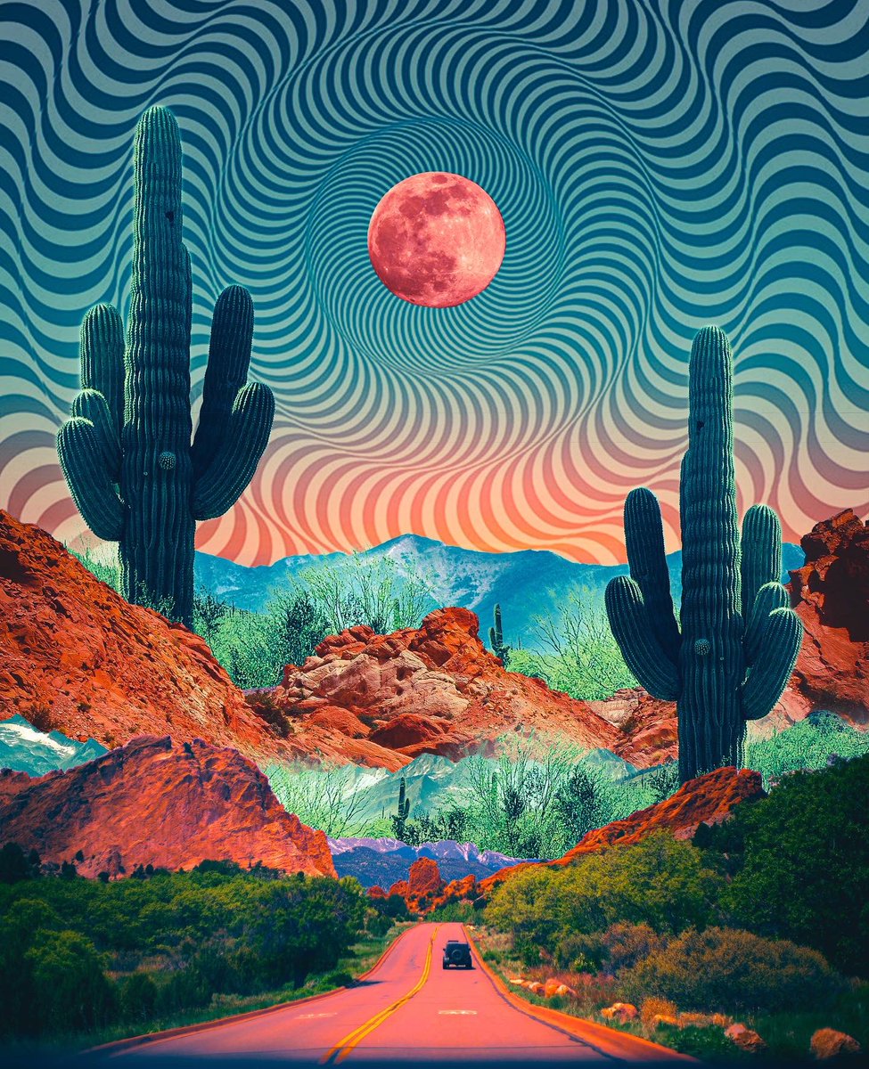 POSTWOOK's tweet image. Dehydration, 2021 🌵🏜️ gm