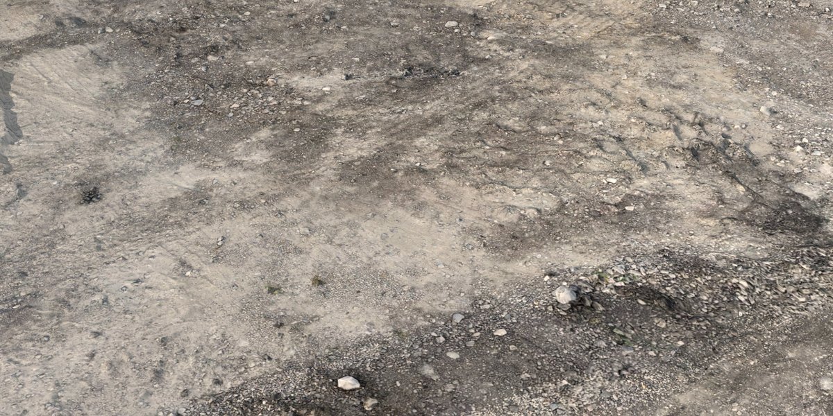 revolt3d tweet media