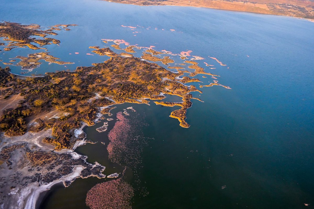 kipmurkomen's tweet image. Magical Kenya. Lake Elementaita. Photos taken this afternoon by my photographer @SendeVincent