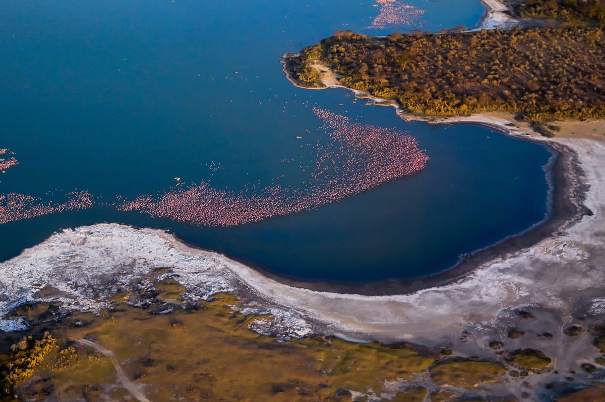 kipmurkomen's tweet image. Magical Kenya. Lake Elementaita. Photos taken this afternoon by my photographer @SendeVincent