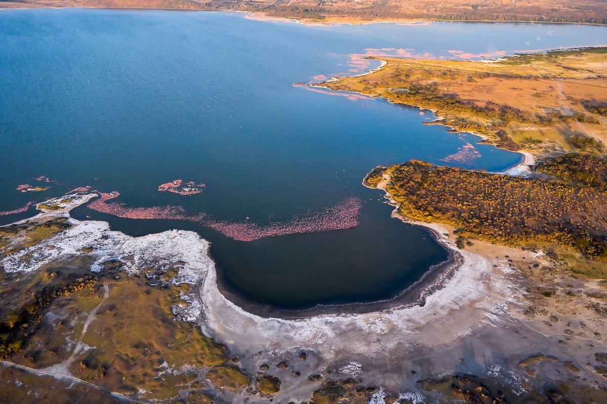 kipmurkomen's tweet image. Magical Kenya. Lake Elementaita. Photos taken this afternoon by my photographer @SendeVincent