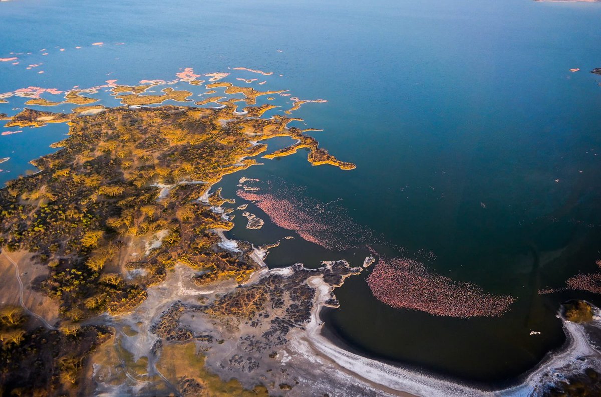 kipmurkomen's tweet image. Magical Kenya. Lake Elementaita. Photos taken this afternoon by my photographer @SendeVincent