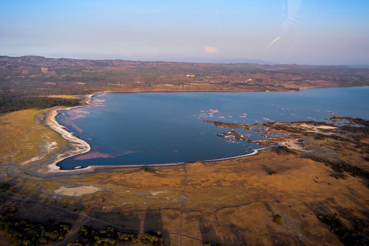 kipmurkomen's tweet image. 