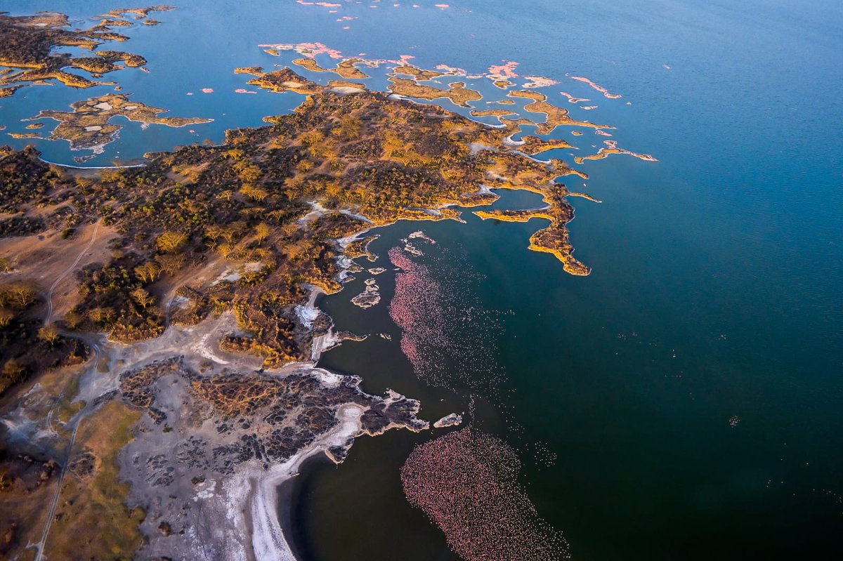 kipmurkomen's tweet image. 