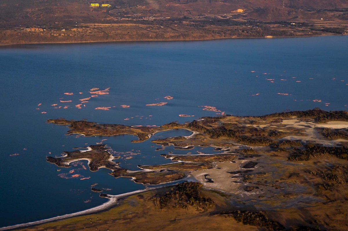 kipmurkomen's tweet image. 