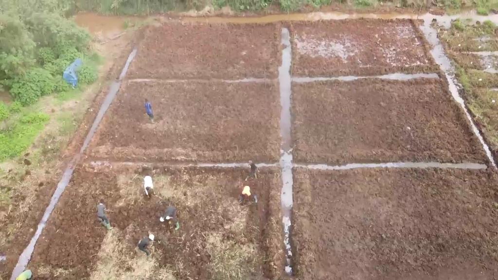 BaurelJean's tweet photo. The problem of the availability of local rice in Cameroon is a constant concern. Our actions are carried out to produce local rice for you by the professionals of FASA-Dschang, together let us develop the agricultural sector.
@FAO
@UNEP
@1popmovement 
@vanessa_vash https://t.co/DpUKlQGAqd
