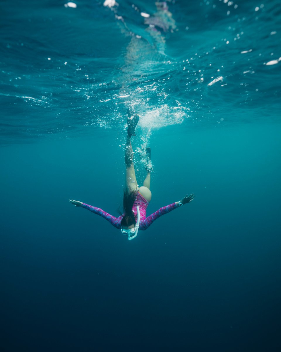 freestyle_watch's tweet photo. ocean dreams 💙
🦈: Bullseye
📸: @madi.wyner
_
#divinglife #diver #snorkeling #surftrip #surfwatch #underwaterphotography #sharks #underwaterworld #oceanlife #myfreestylewatch #instagood #featurepage https://t.co/WAioQRpykv https://t.co/WBlCNMftW4