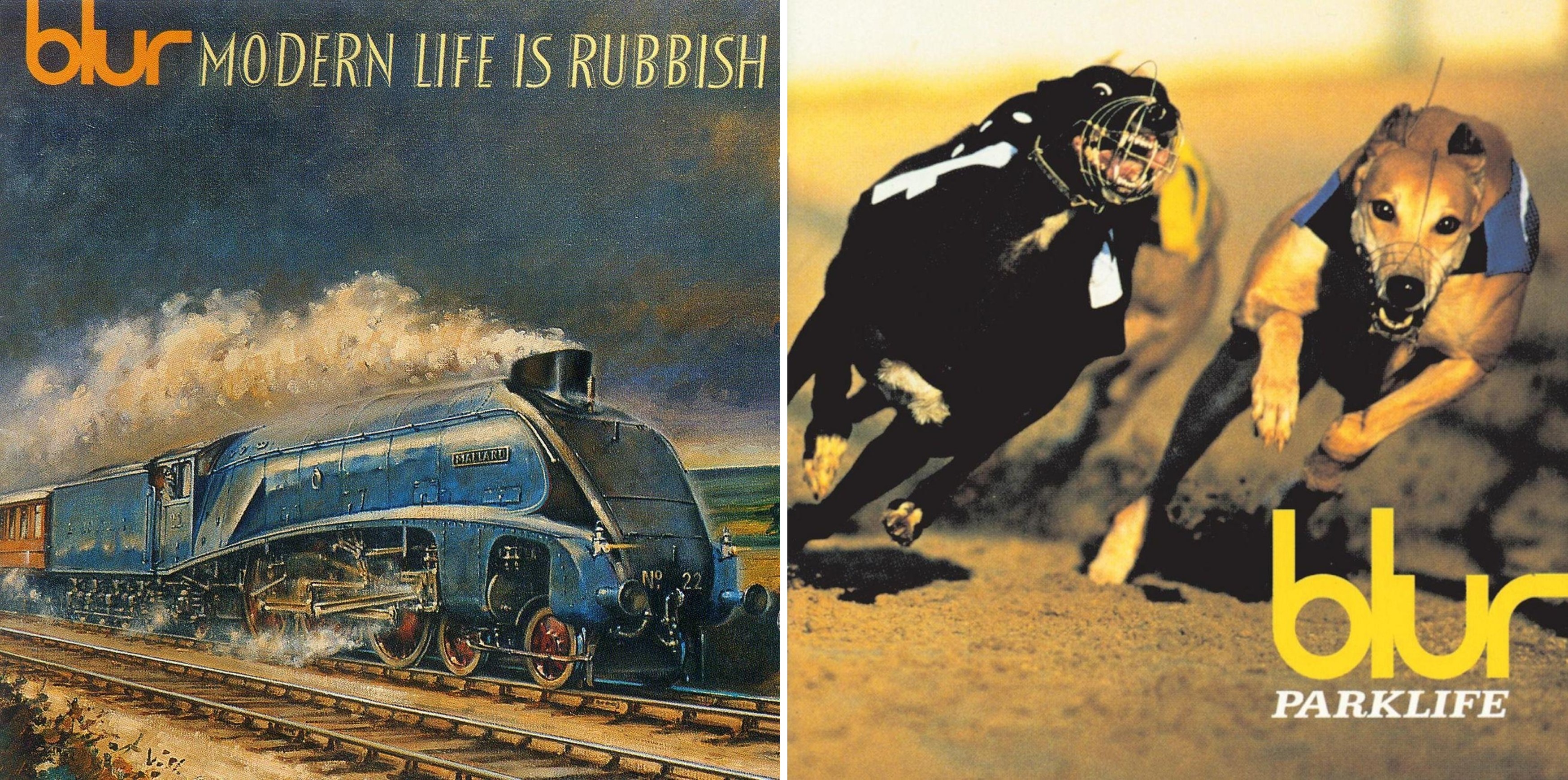 ALBUMISM on X: 