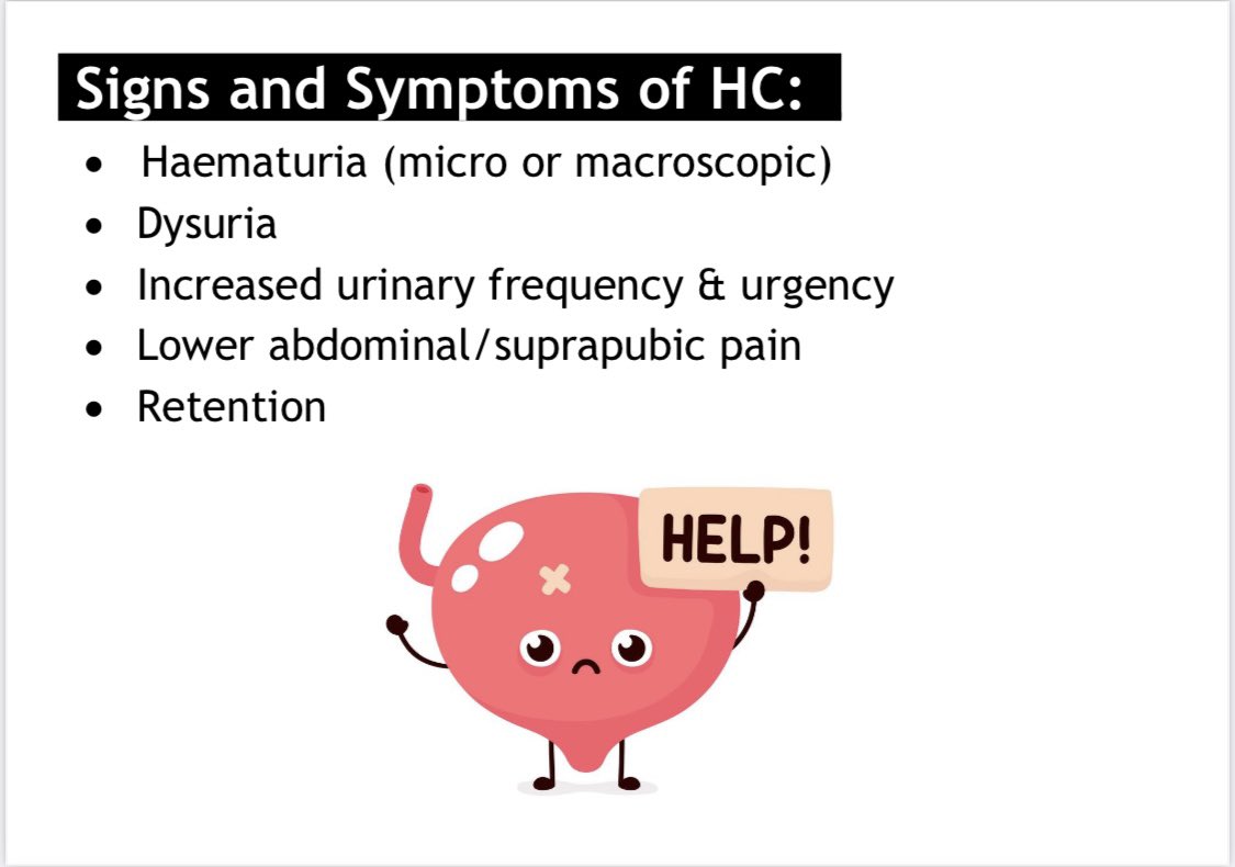 Danielle__casey's tweet photo. 📖🩸Going to start sharing our 2022 monthly teachings made for the Haem/Transplant Nurses🩸📖 1. Haemorrhagic Cystitis #HaemNursing #HaemNurseEducation #Haemtwitter https://t.co/PhkQuxZj0f