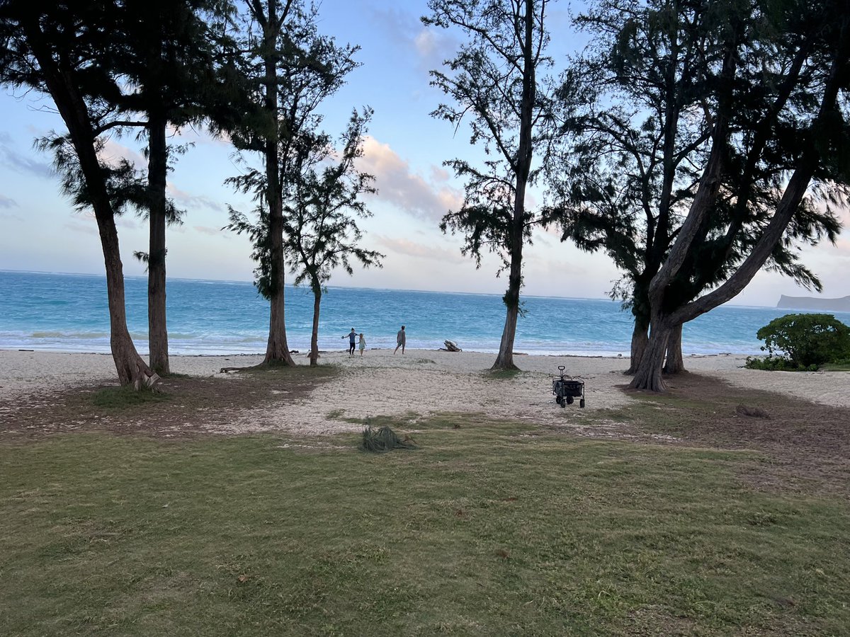 Center for Marine Debris Research tweet media