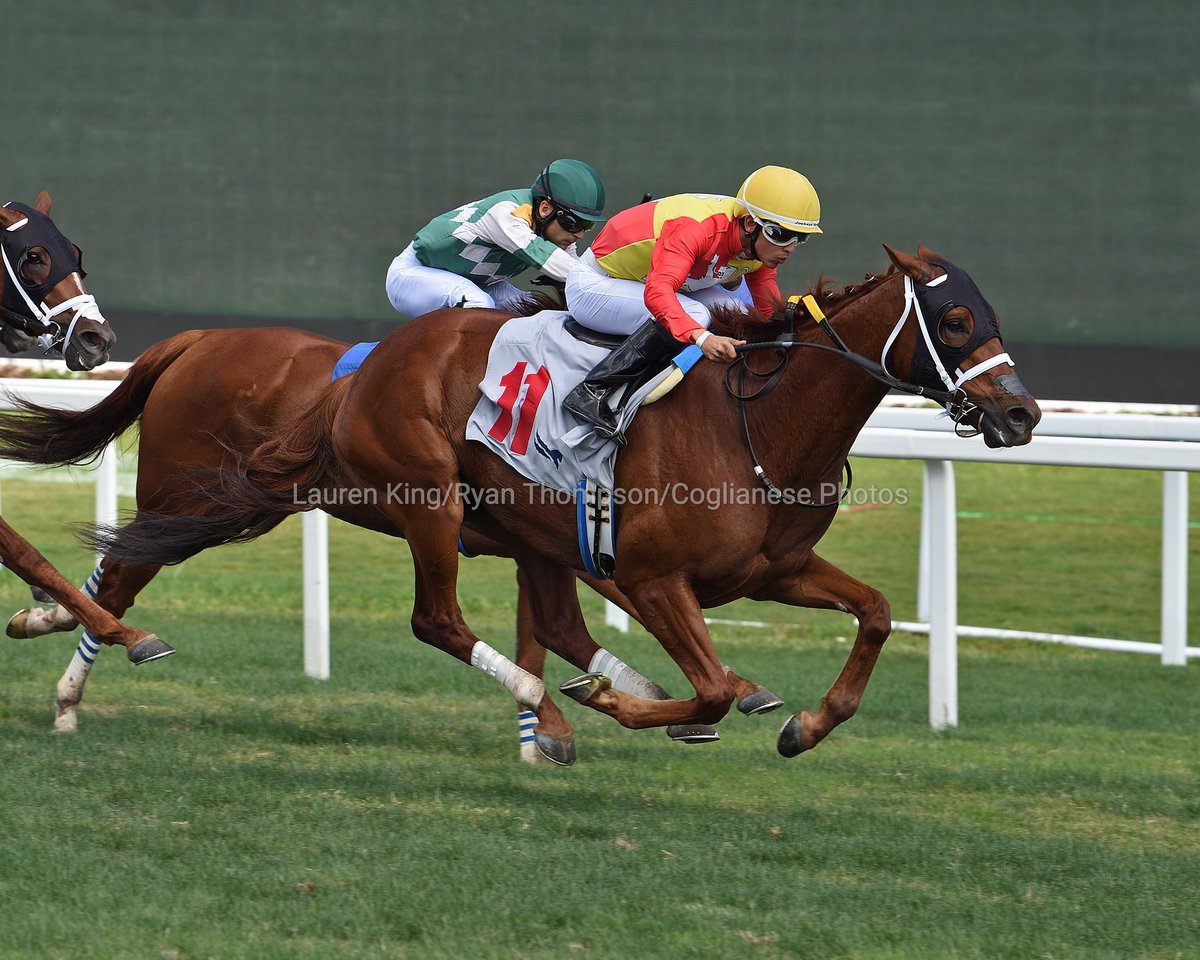 VideoHipico on Twitter ".SaffieJosephJr's Kartano gets the job done