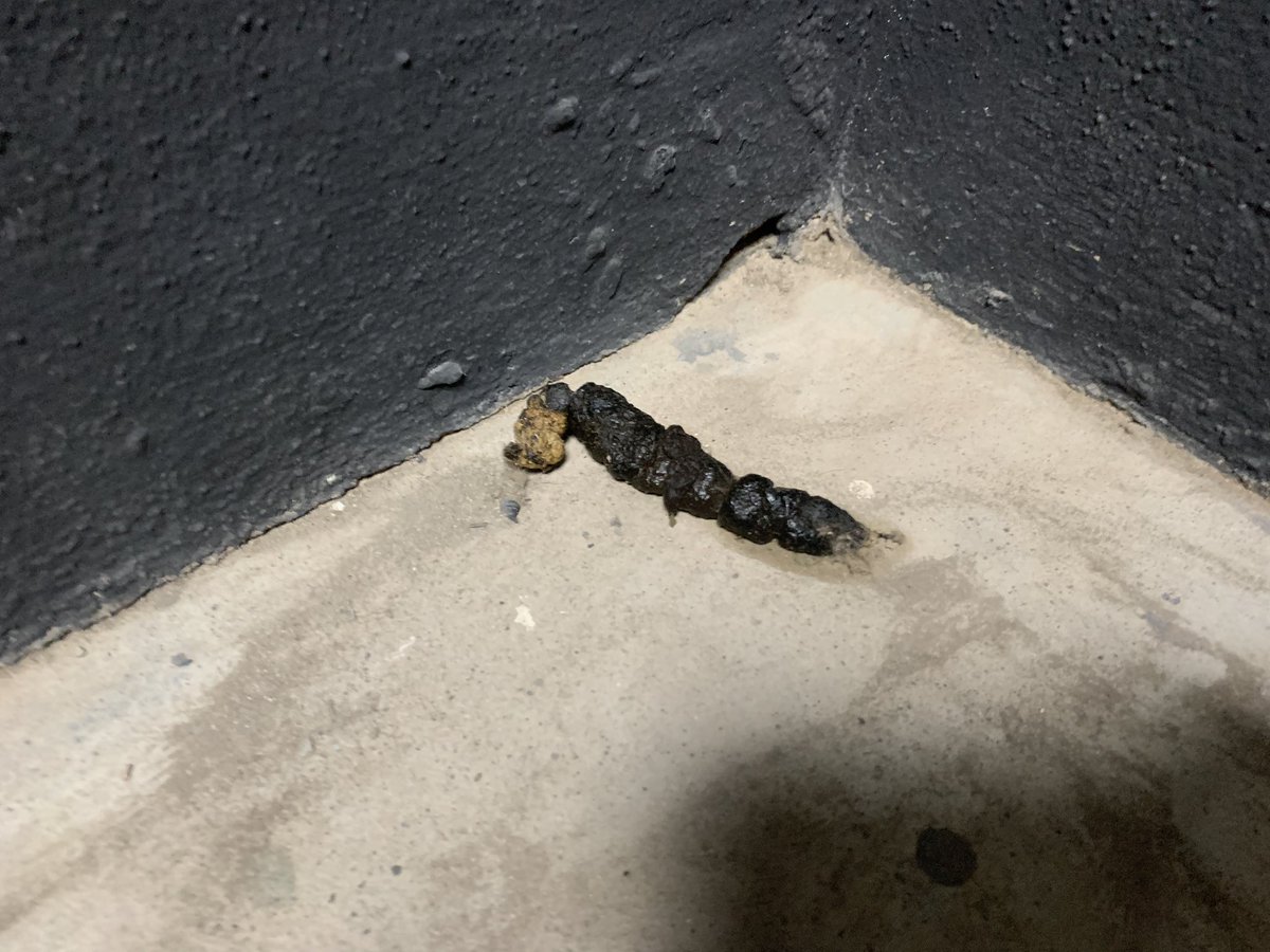 A robar carteras (@ArCarteras) /