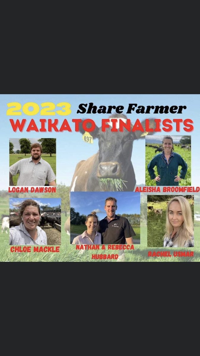 🇳🇿belinda🐄 tweet media