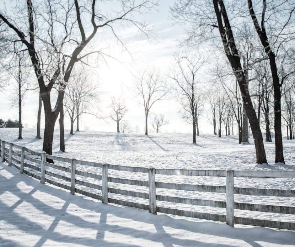UNHExtension's tweet photo. Have you made yourself a farm #winterchecklist? The off-season is not a reason to disconnect. 'Tis the season to #connect, build relationships, be accessible, and stay relevant. Learn about what to consider for the winter for a successful season ahead! https://t.co/tn2JjyTKSo https://t.co/906PxqEl7G