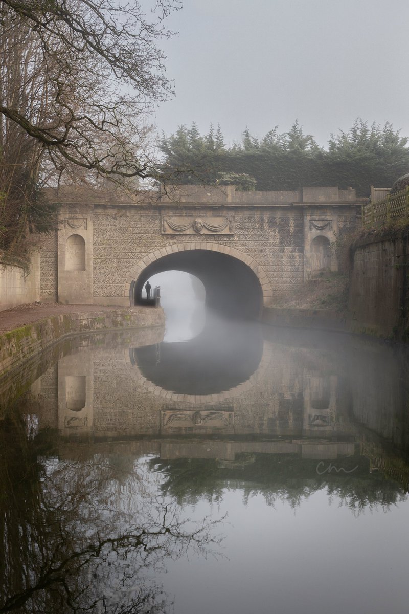 An eerie morning at Sydney Gardens 🖤