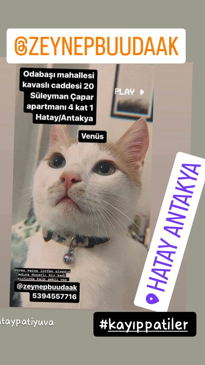 Hatay kayıp