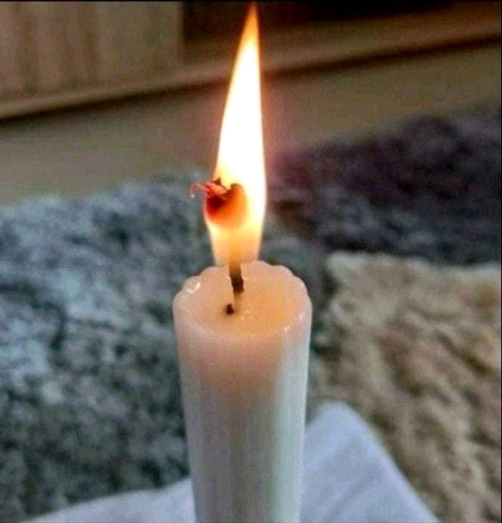 Alpha King tweet media