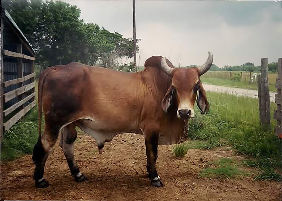 Traces Of Texas On Twitter Felix Bowie Shared This Shot Of His traces-of-texas-on-twitter-felix-bowie-shared-this-shot-of-his