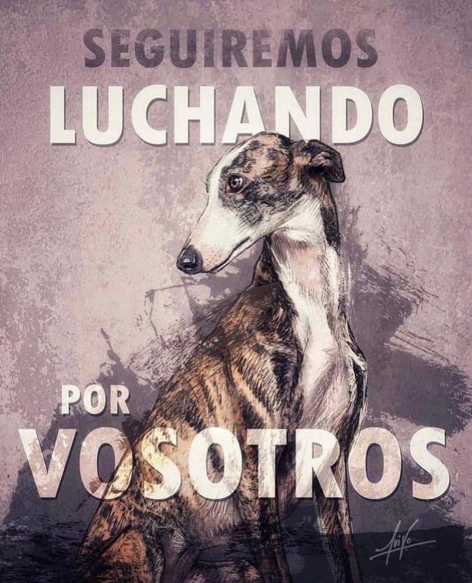huellassalvadas's tweet photo. Se ha aprobado la ley de bienestar animal pero excluyendo a los perros de caza, pastores y de guarda, de rescate, los usados en actividades deportivas y los usados en experimentación. 

Resulta que para nuestros políticos no todos los perros son iguales 💔

#leybienestaranimal https://t.co/awOcUkVpms