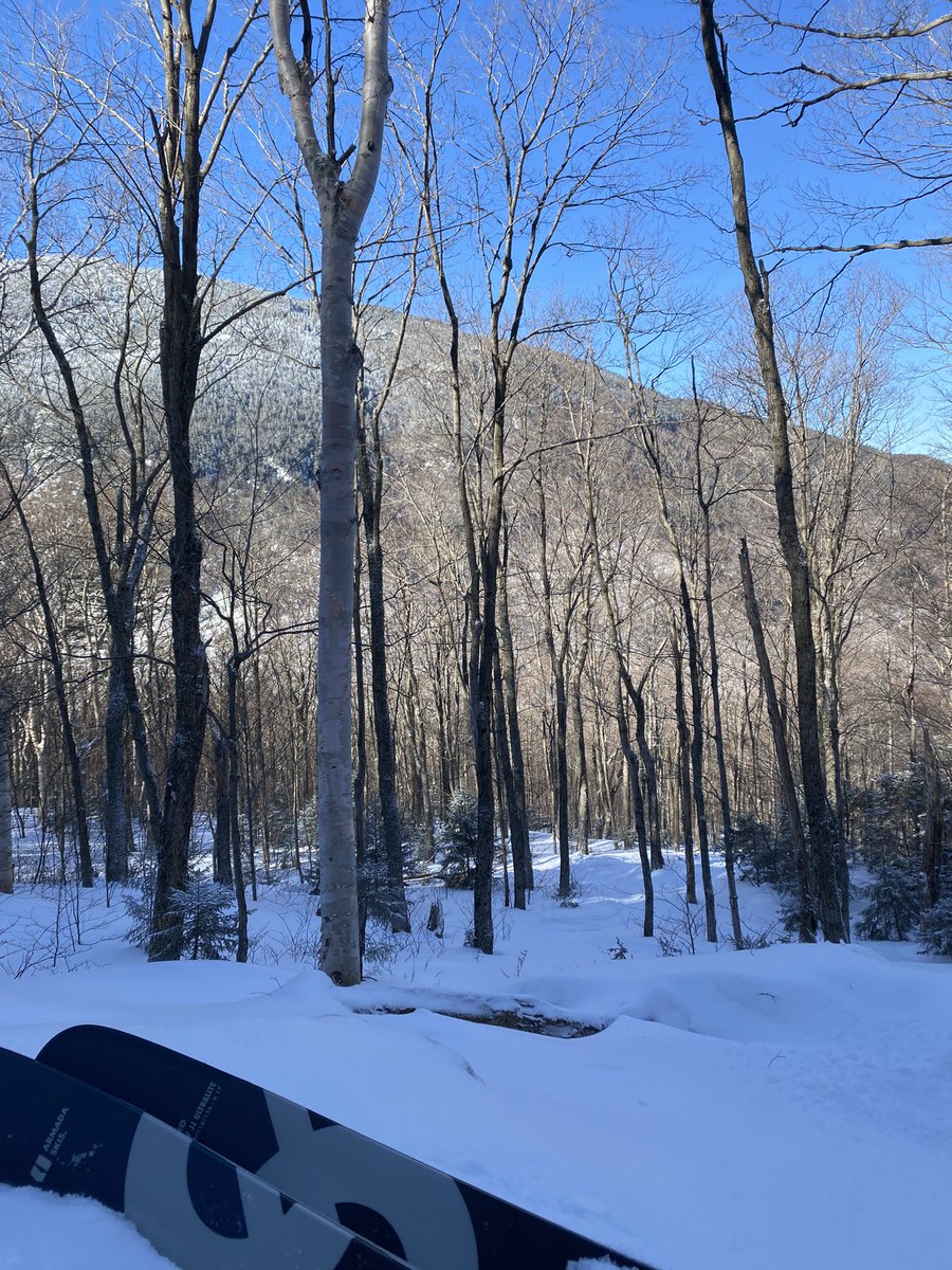 Nick Simpson tweet media