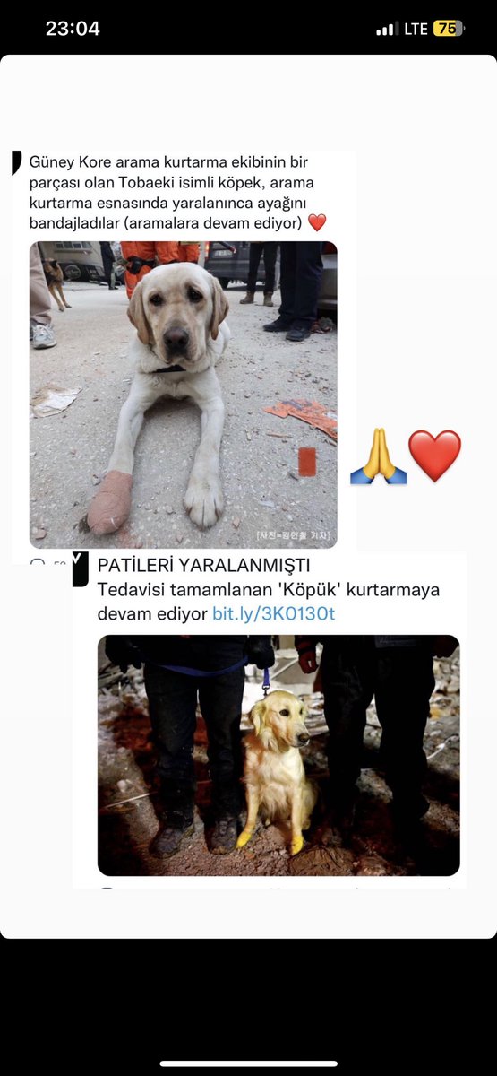 htceylan's tweet photo. https://t.co/uKgipCQQPd