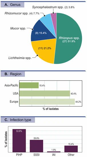 Isavuconazole is the only US FDA-approved antifungal for treating invasive mucormycosis
🆕️⚡️⚡️ #JOF
<a href="/mcastanheirajmi/">Mariana Castanheira</a>
Antifungal Activity of Isavuconazole and Comparator Agents against Contemporaneous Mucorales Isolates from USA, Europe, and Asia-Pacific
mdpi.com/2309-608X/9/2/…