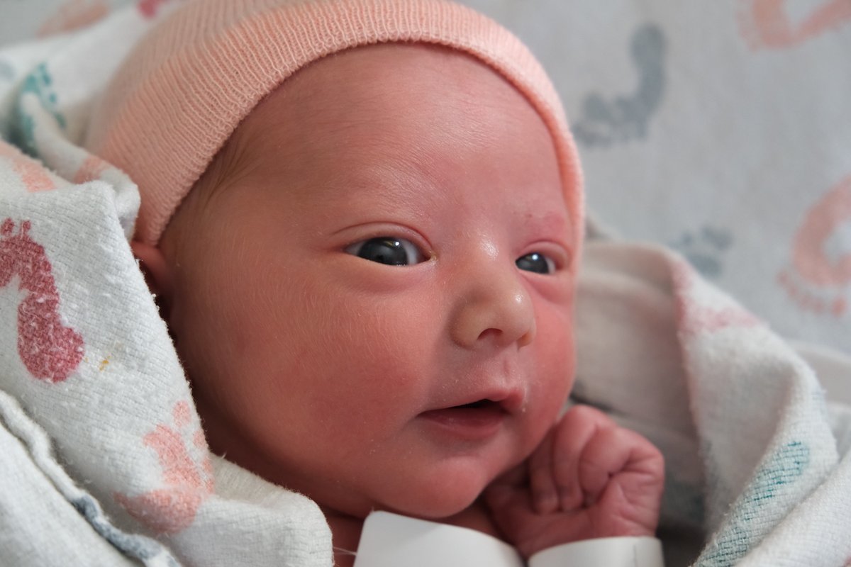 Brent Hecht tweet media